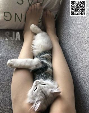 韩国一区二区三区美女美女秀-私人影视高清在线观看