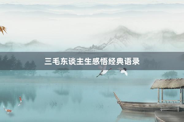 三毛东谈主生感悟经典语录