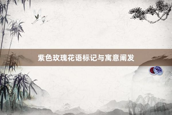 紫色玫瑰花语标记与寓意阐发