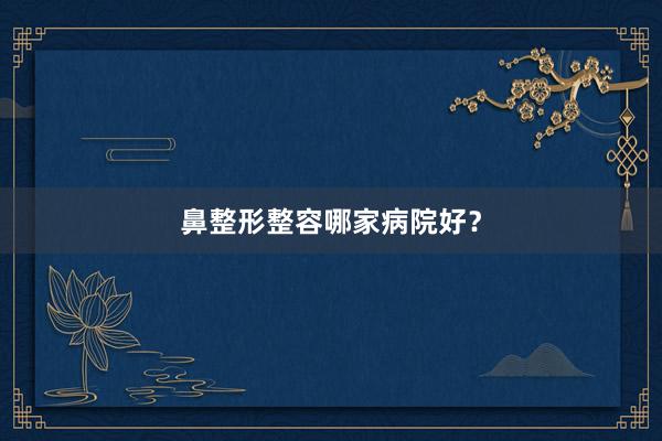 鼻整形整容哪家病院好？