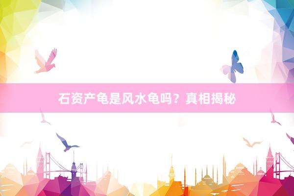 石资产龟是风水龟吗？真相揭秘
